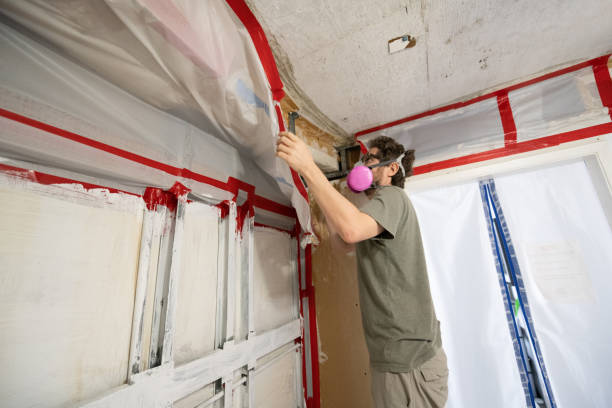 Best Commercial Mold Inspection  in Curtice, OH